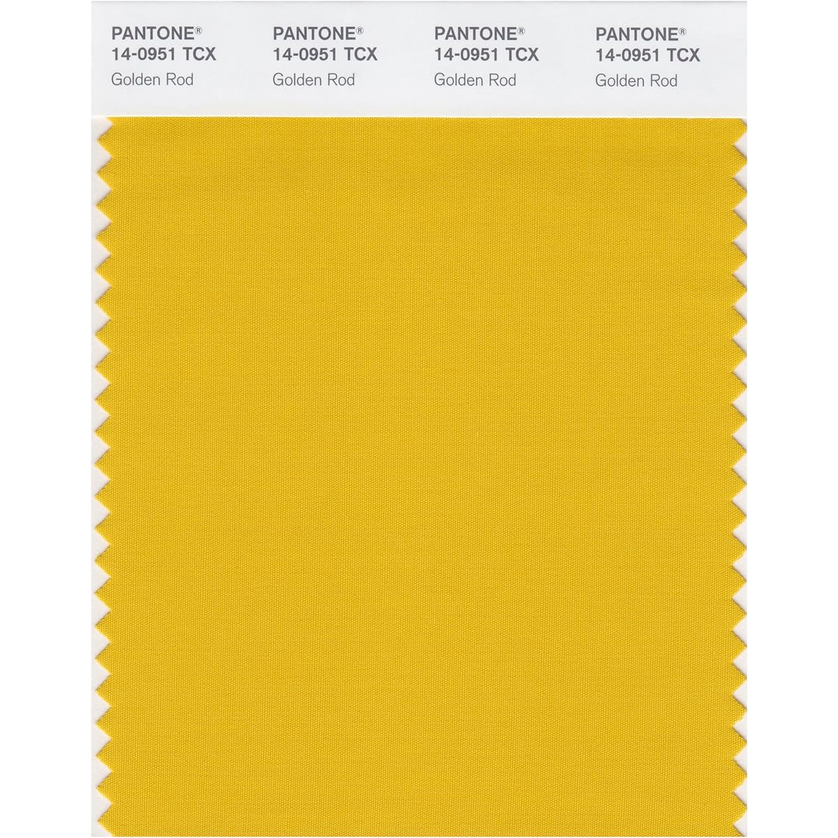 PANTONE SMART 14-1012X Color Swatch Card, Champagne Beige by Pantone