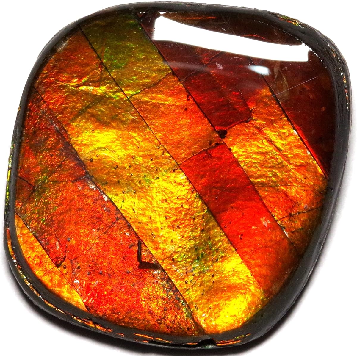 [N2 stone Natural] Natural fossil Ammolite / gemstone rough | (11 | "One of a kind" approx. 28x26x4mm (23ct) | Excavation location: Alberta, Canada)