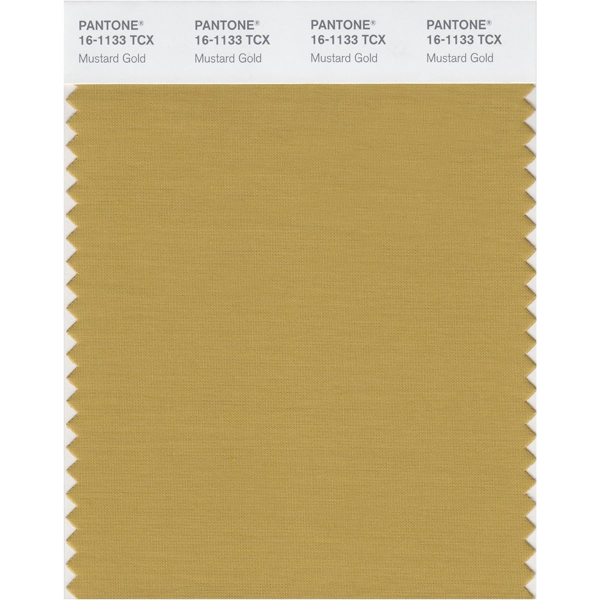 PANTONE Smart 16-1212X Color Swatch Card Nomad