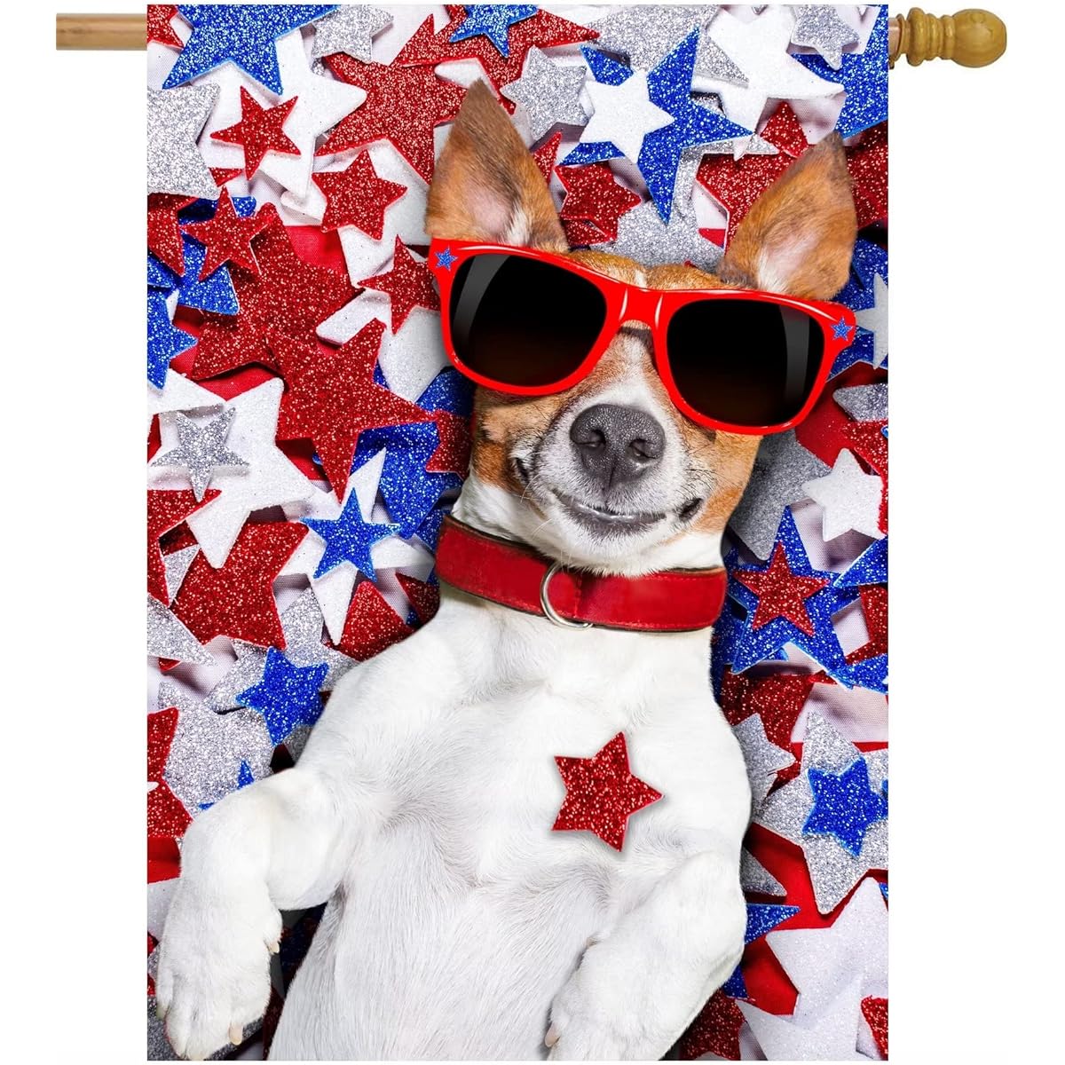 ShineSnow USA Patriotic 4th of July Cute Dog with Glasses Twinkle Twinkle Little Star Independence Day Yard Garden Flag 12" x 18" Double Sided Polyester Welcome House Flag for Patio Lawn Outdoor Home Decor