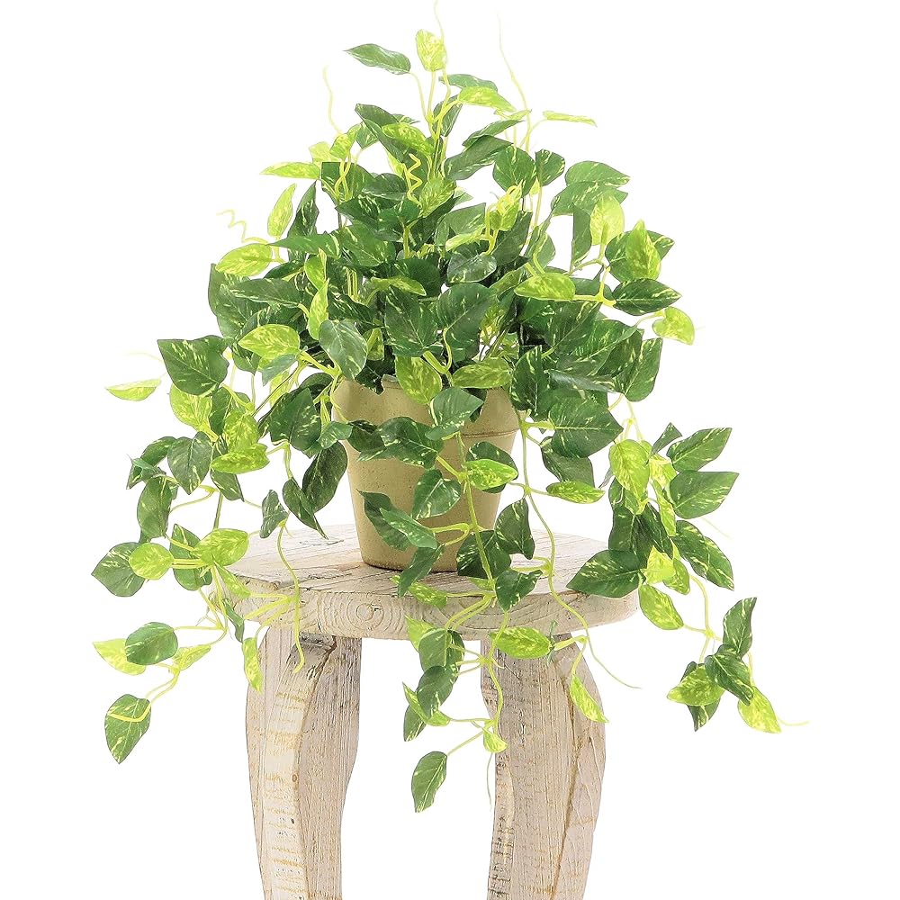 Official｜Artificial Flower.com Fake Green “Pothos, Ivy, Pumila 3-piece set (unglazed pot)” 8407