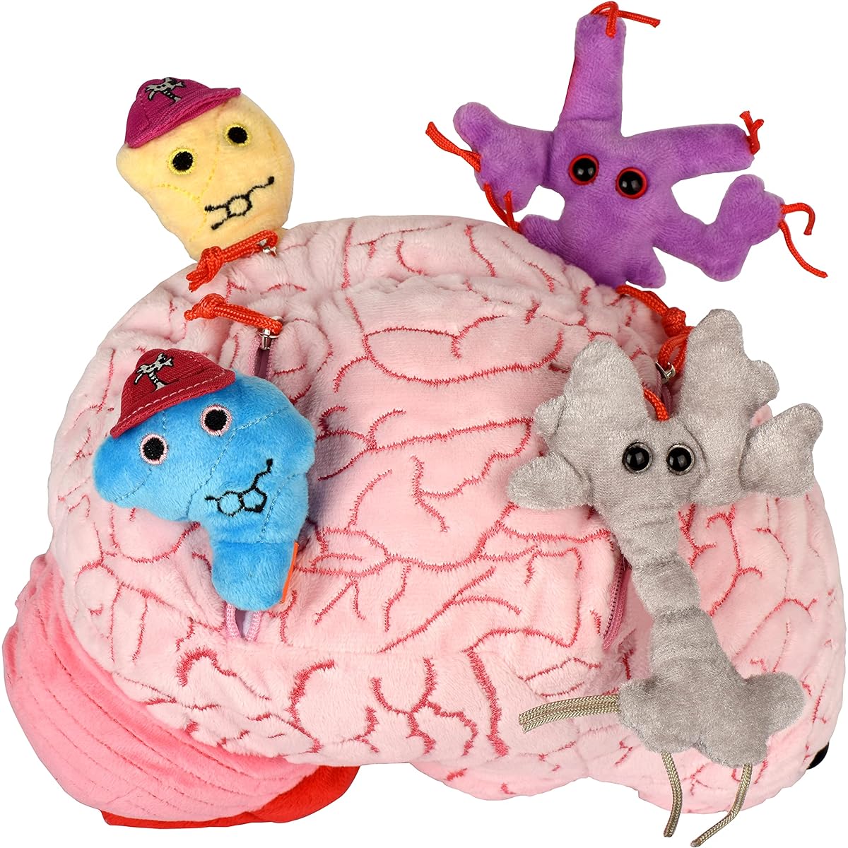 GIANTmicrobes Deluxe Brain with Plush Neurotransmitters - Realistic Anatomical Human Brain Organ, Educational Gift for Scientists, Students, Doctors, Teachers, Neuroscience, Psychology