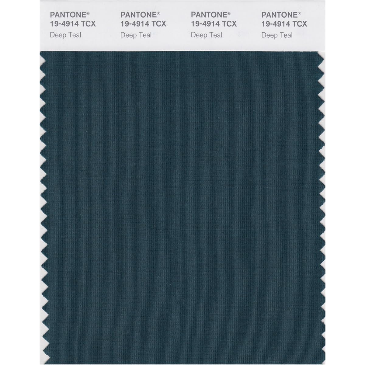 Pantone Color Swatch Smart Card 19-5413X 1