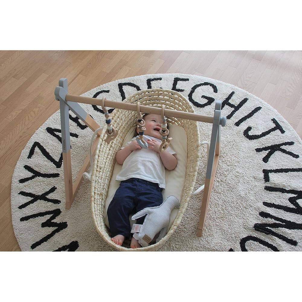 [Genuine Product] Hopple Baby Gym/Hanging Toy BTL-BGS-GY-BL Gray/Blue
