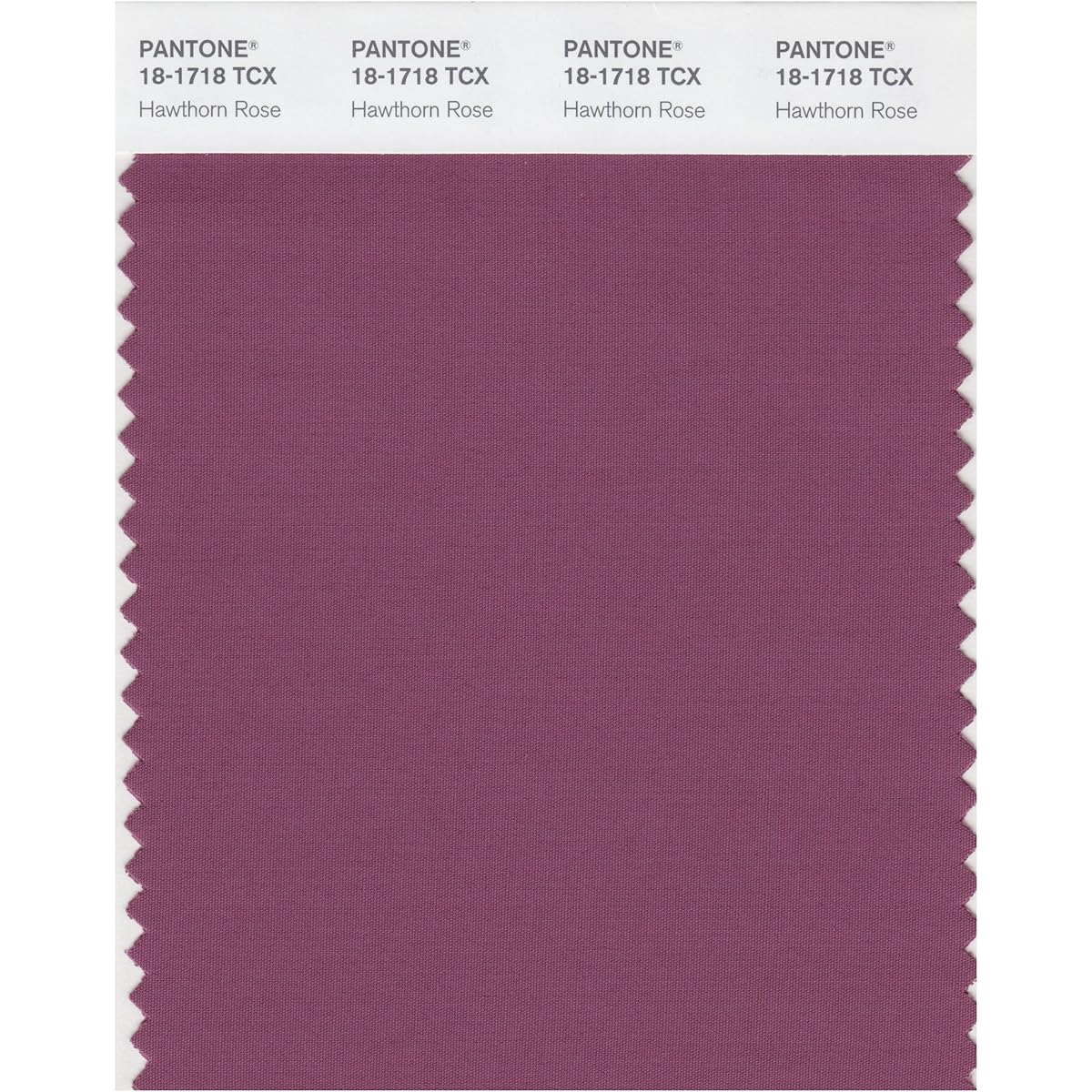 Pantone Color Swatch Smart Card 18-1661X 1