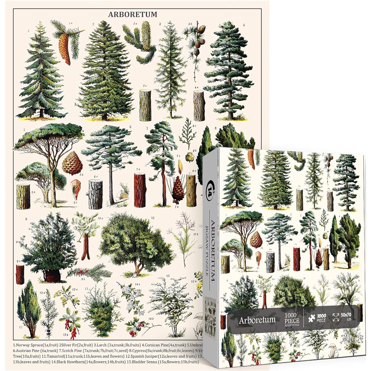 Vintage Botanical Puzzle for Adults 1000 Piece Tree Jigsaw Puzzle for Adults Nature Botanical Puzzle Botanical Garden Gift