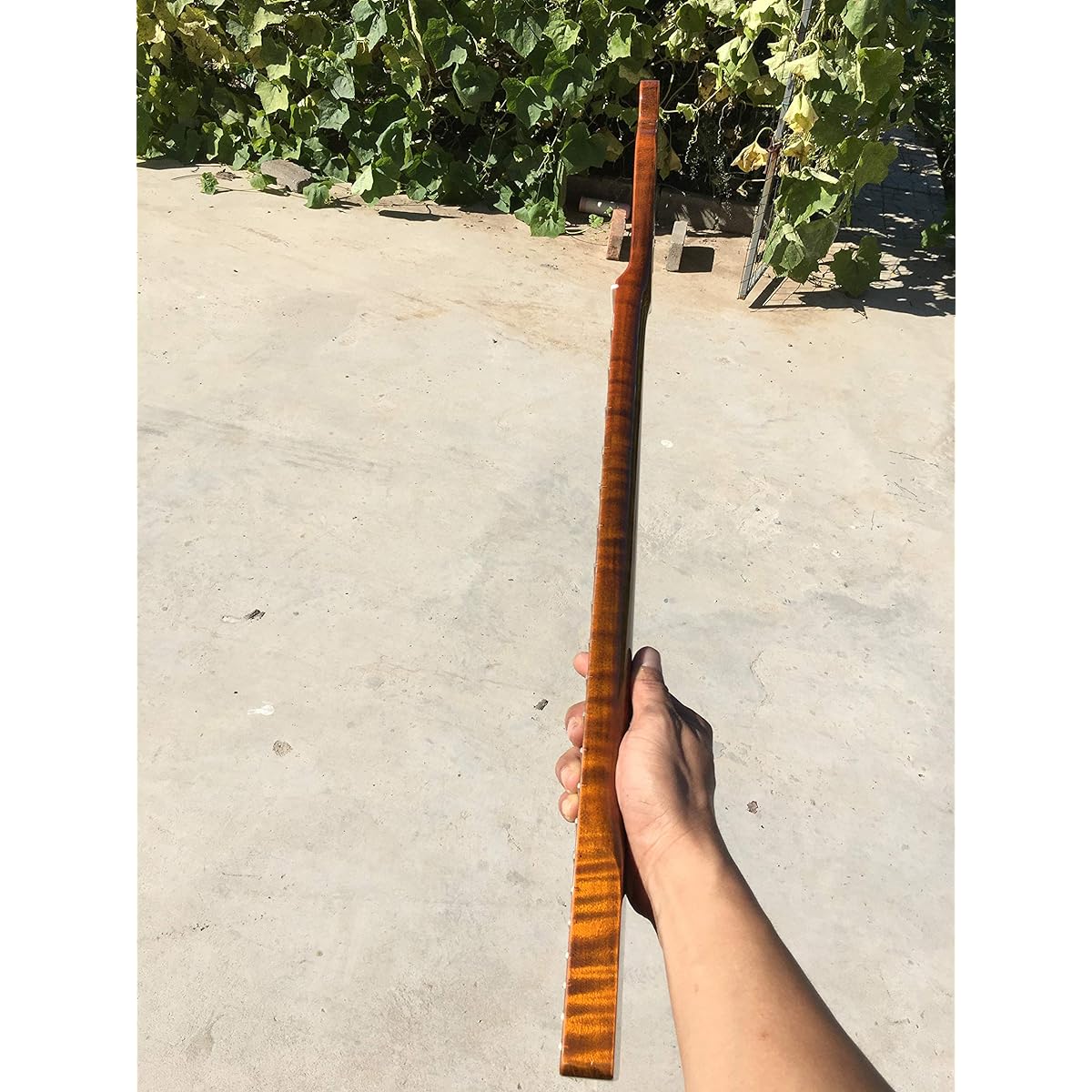 Tiger Flame Maple Guitar Neck 21 Fret 25.5 Inch Vintage Glossy Yellow Pearl Dot Inlay DIY Guitar Replacement (Yellow)