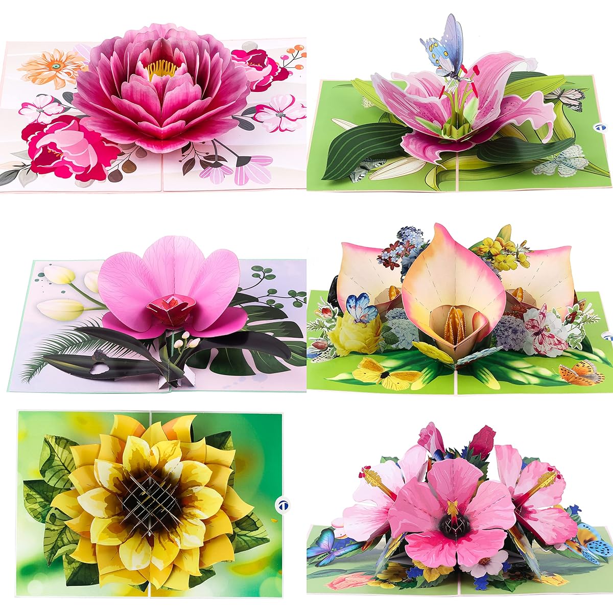 TRUANCE Pop-up Greeting Card Assortment 6 Cards