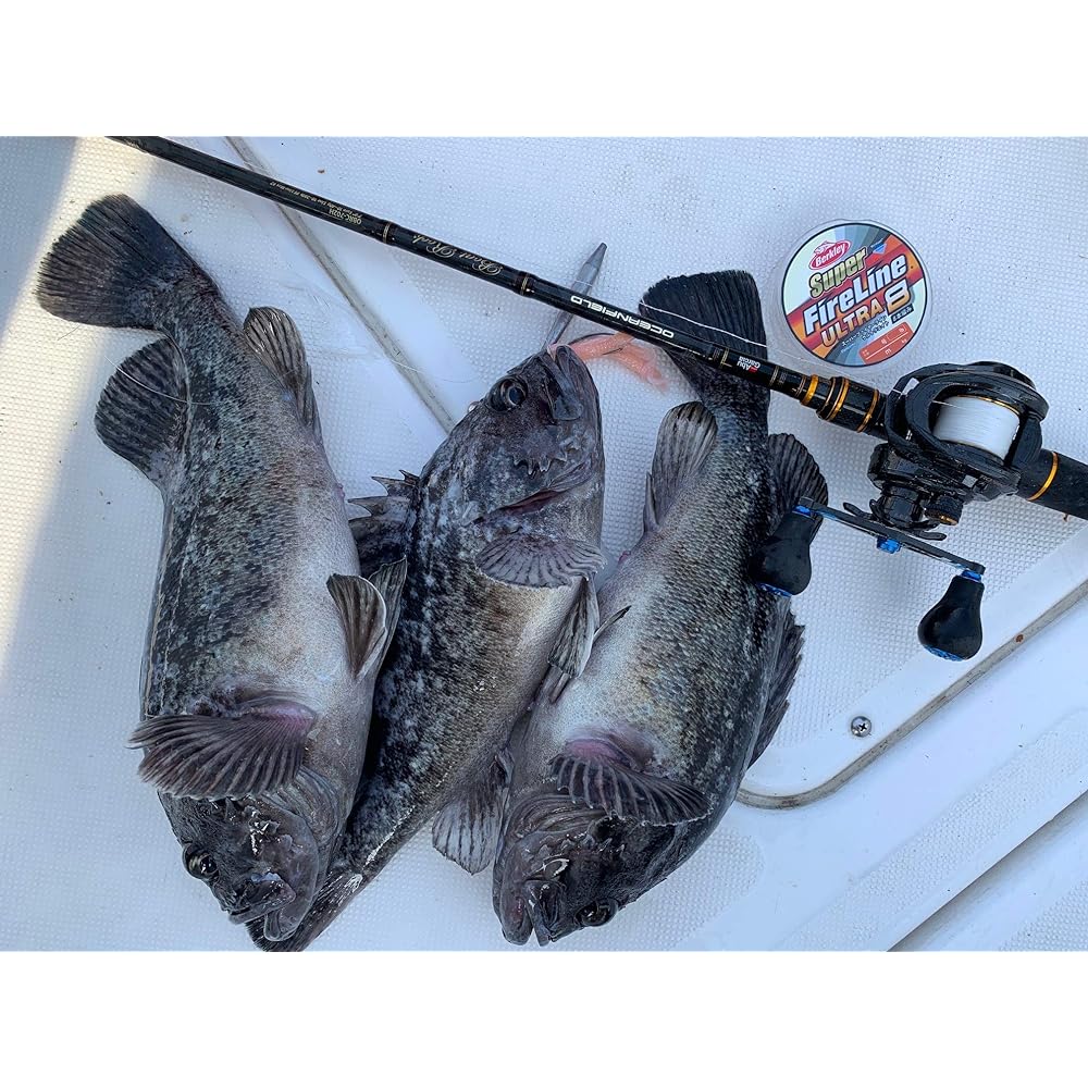 Berkley PE Line Super Fire Line Ultra 8 Various Sizes