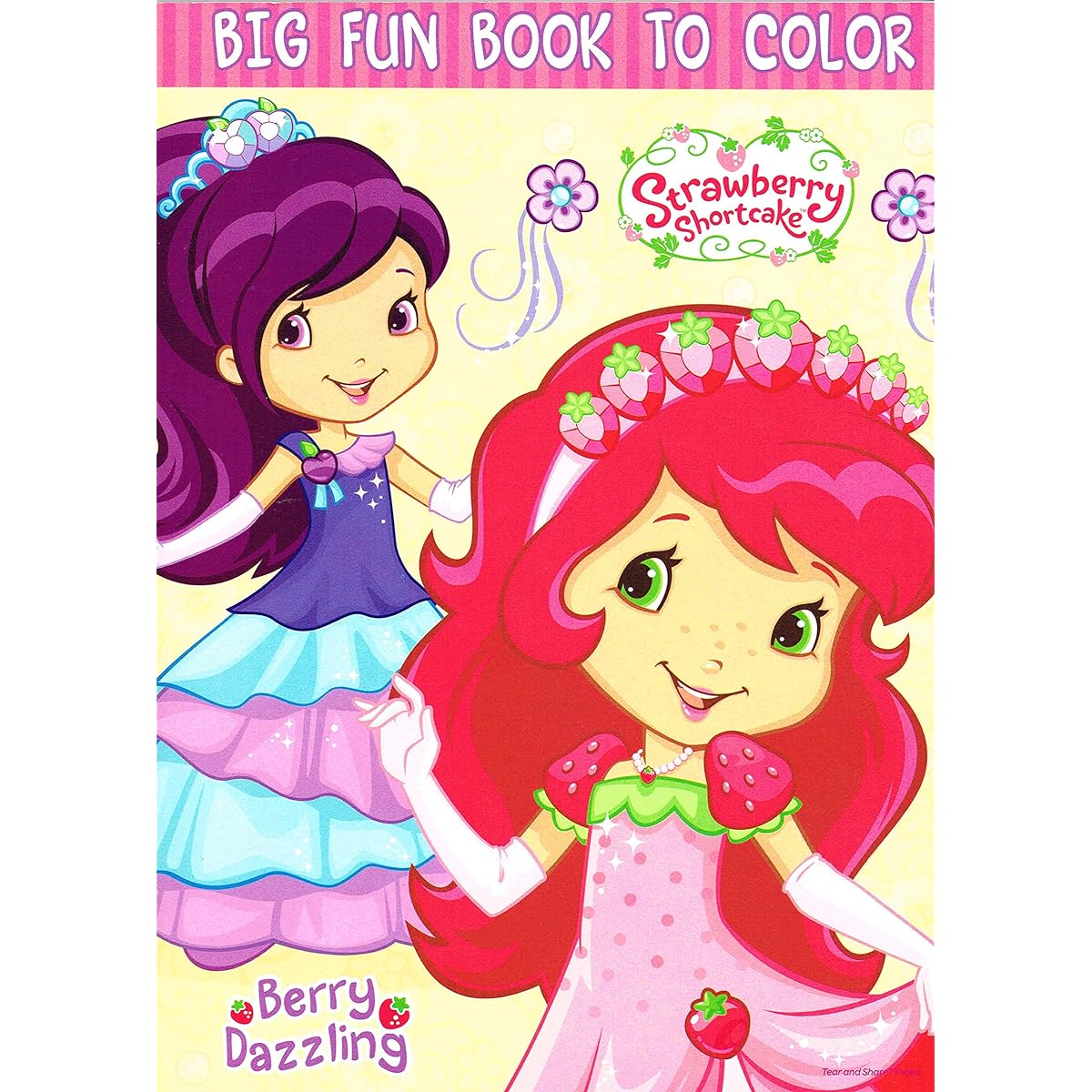 Strawberry Shortcake Big Fun Book to Color ~ Berry Dazzling (96 Pages)