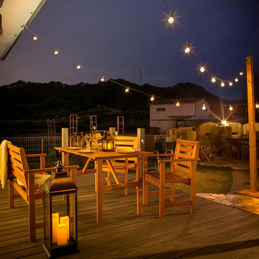 Takasho Low Volt String Party Light 10 Bulbs LGL-WS05 Light Bulb Color