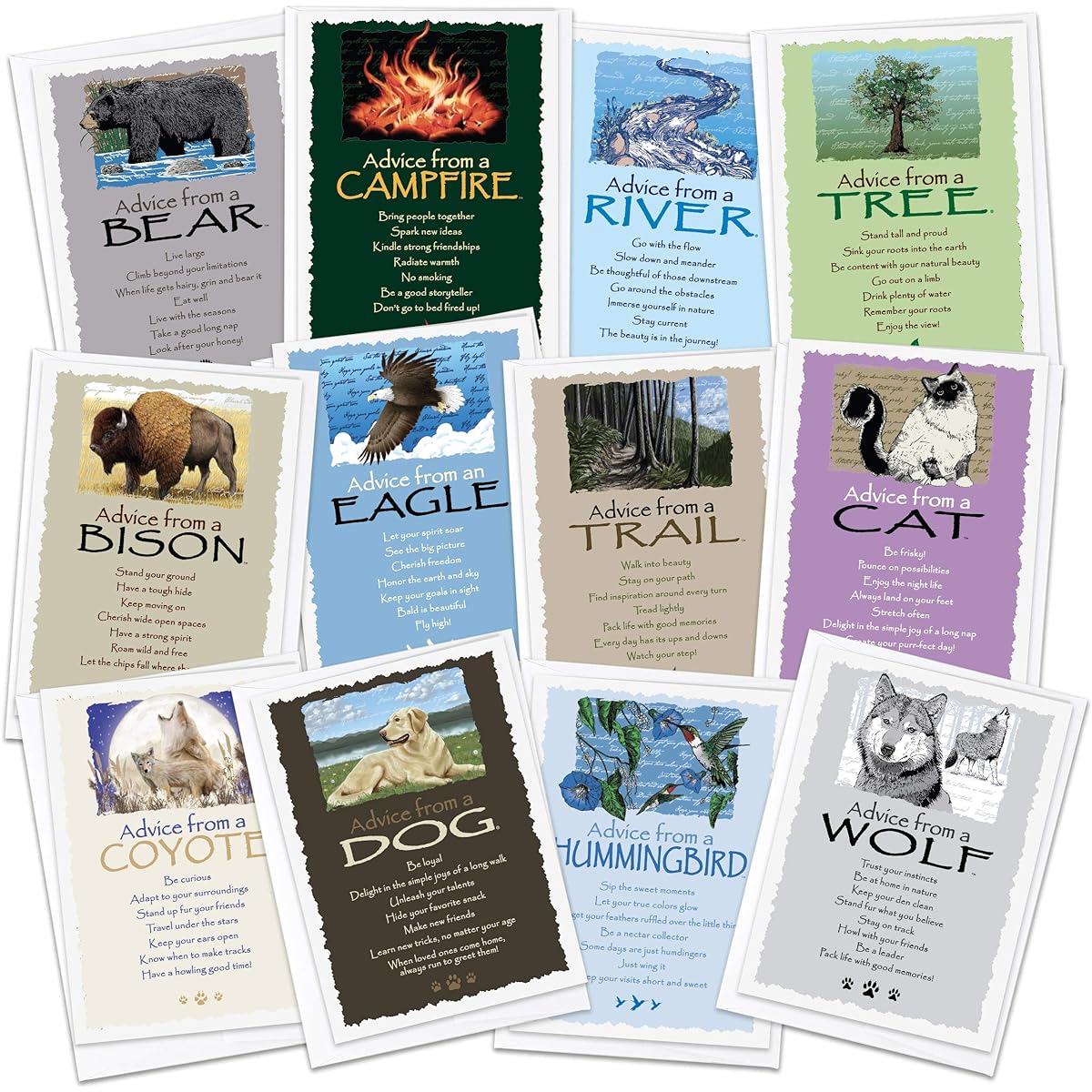 True Nature AMGC12-FAV Favorite Greeting Card Set Dog Cat Bear Eagle Hummingbird River Road Coyote Tree Wolf Campfire Bison