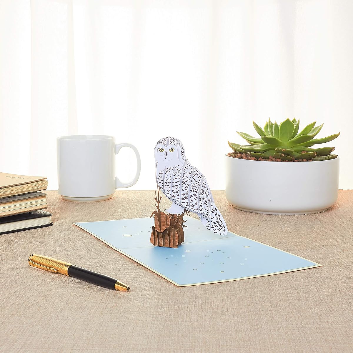 Rykamia Owl Pop Up Card 6 x 6 Inch "Just Because" Graduation Any Occasion Father Son Husband Wife Mom