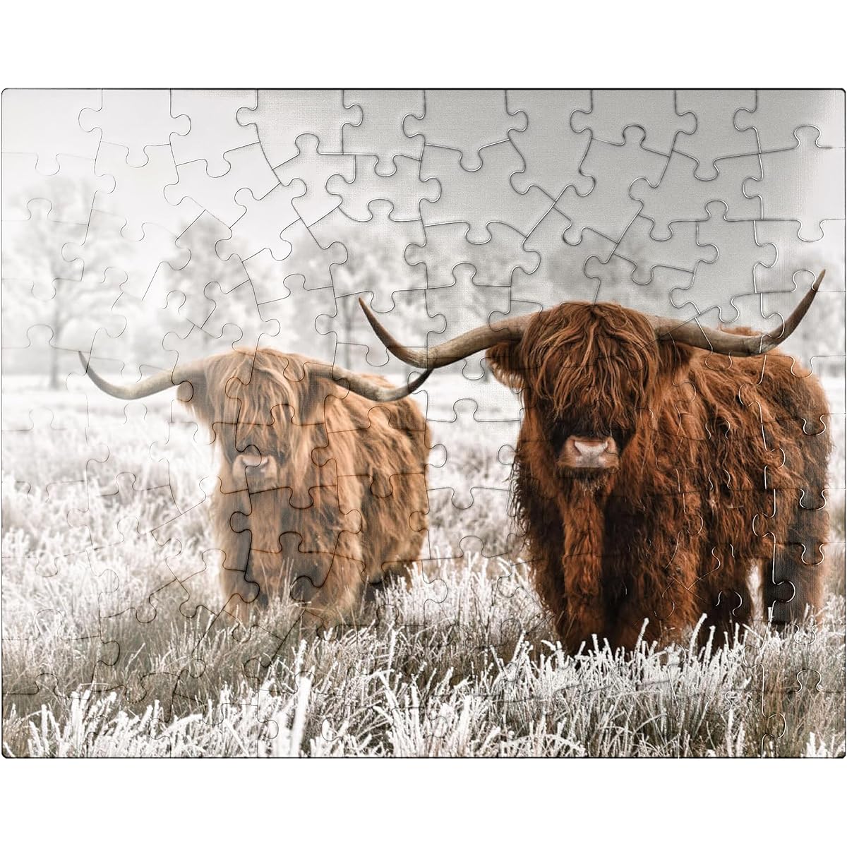 Hairy Scottish Highland Cattle in a Winter Landscape - Premium 100 Piece Jigsaw Puzzle for Adults