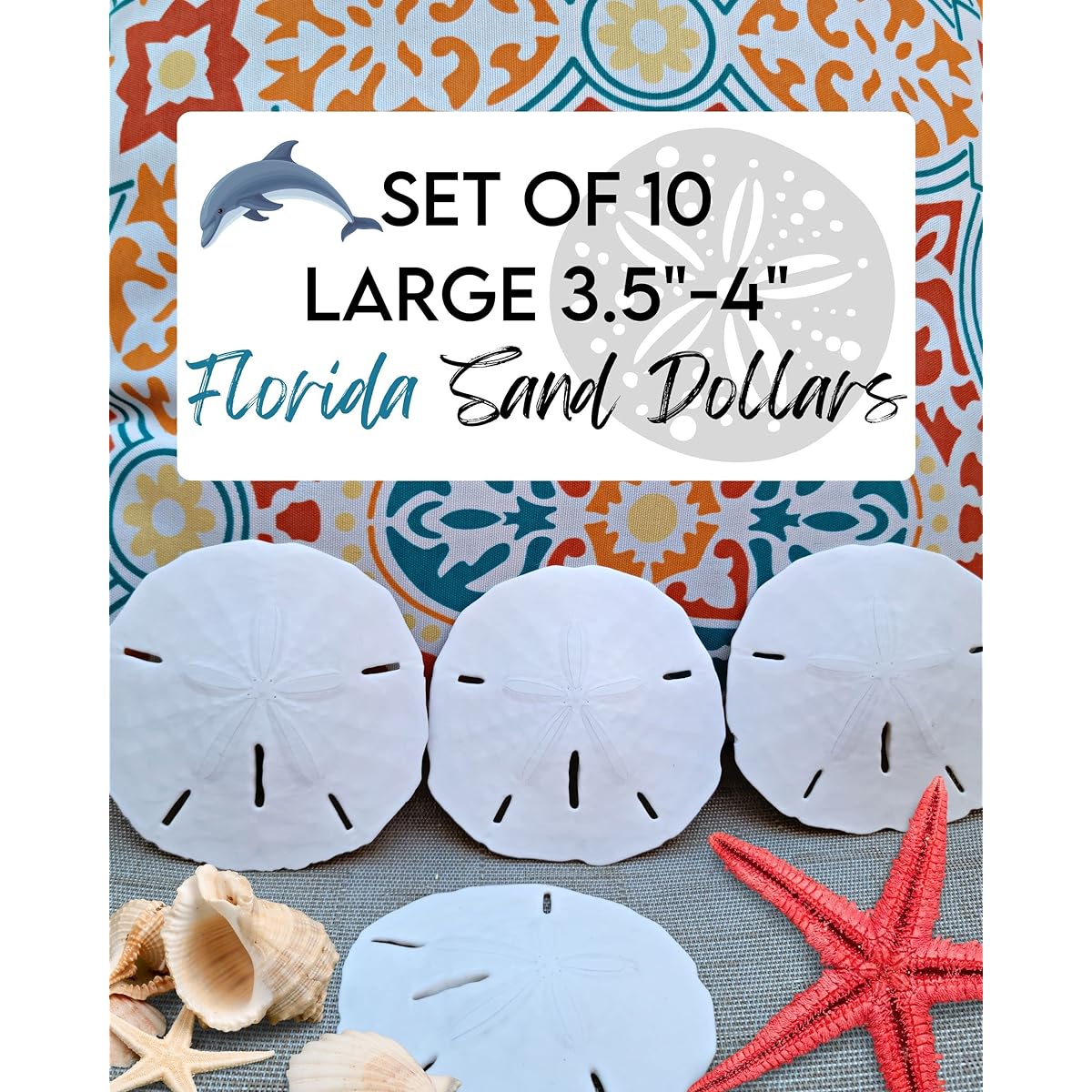 Ocean Decor Sand Dollar Set Large 3.5-4 Inch - Pack of 10 Packed with Love Beach Decor Decoration Display Craft DIY Project Coastal Christmas Tree Sand Dollar Ornament Beach Wedding Decor