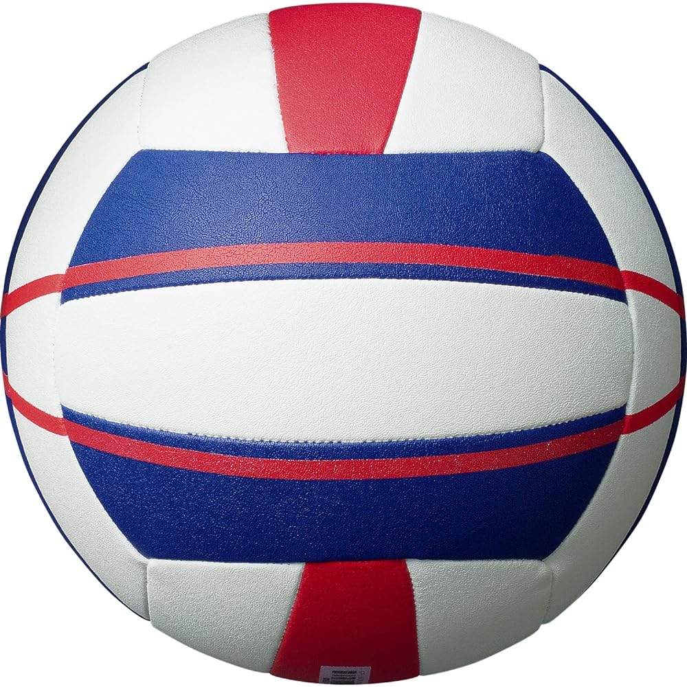 Molten Beach Volleyball V5B5000 White x Blue x Red