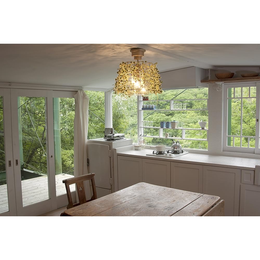 Kishima Botanic [CT Catalyst] Ceiling Light 3 Lights Ivy CC-40350