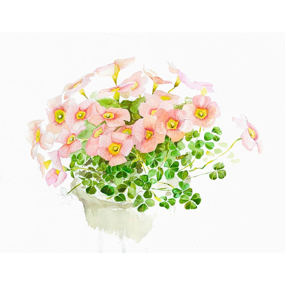Muse Watercolor Paper White Watson Block F10 300g White 15 Sheets HW-310 F10