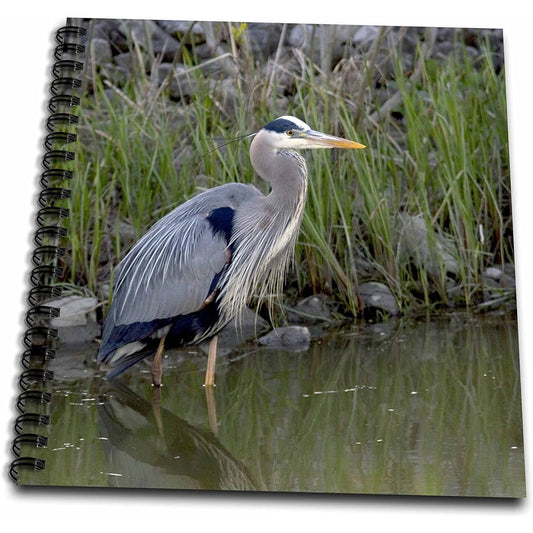 3dRose db_93375_2 Great Blue Heron Bird Maumee Bay Refugee, Ohio US36 DFR0038 - David R Frazier Memory Book, 12 x 12 inches