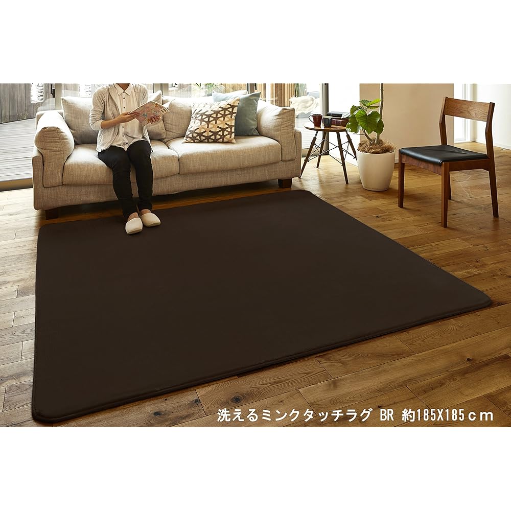 Hagiwara Rug Hot Carpet Cover "Mink Touch Rug" Brown Approx. 220X320 Washable 240586253