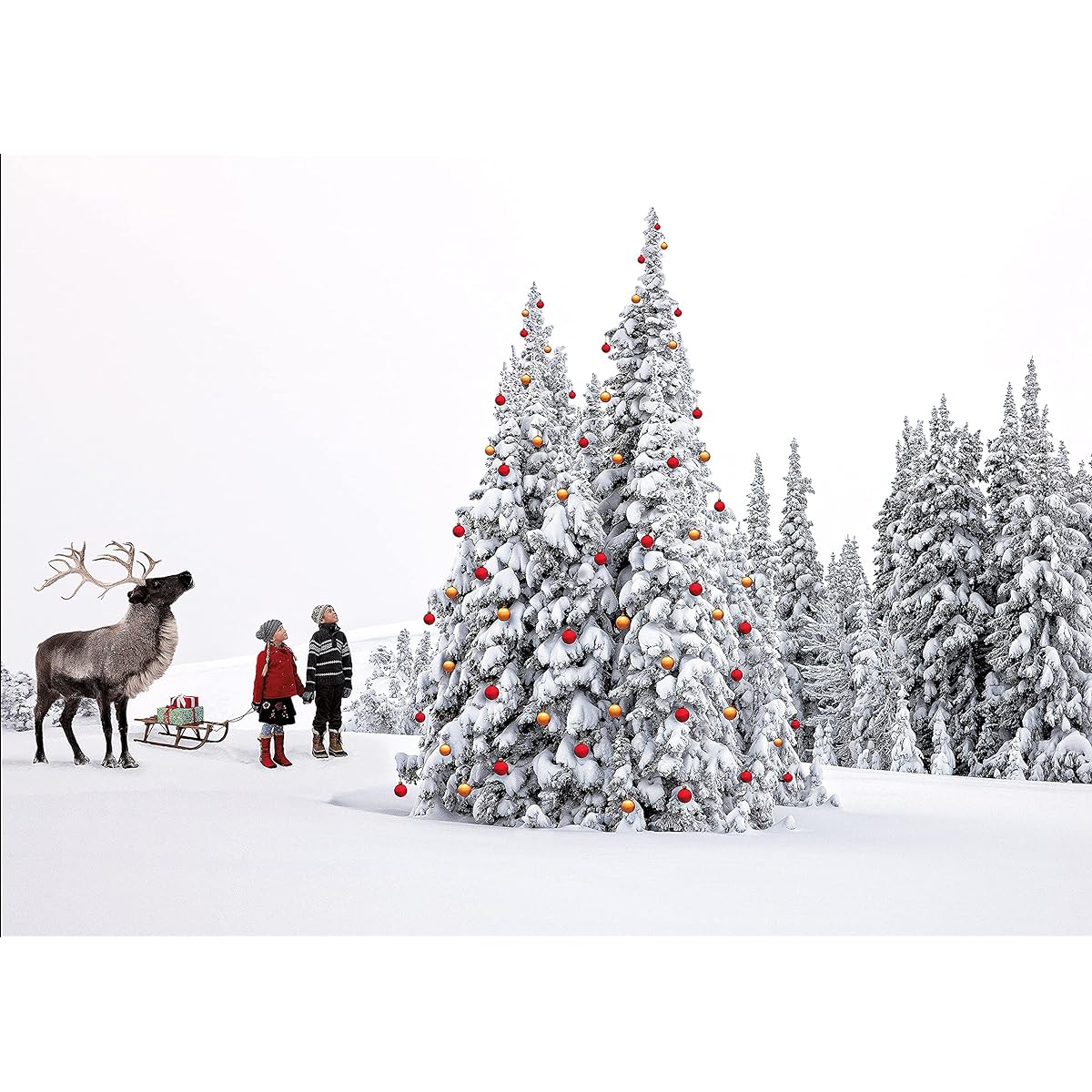Reindeer, Kids, Christmas Tree, Christmas Holiday Boxed Card Set of 12 "Season's Greetings" Cards and 12 Envelopes. Made in the USA