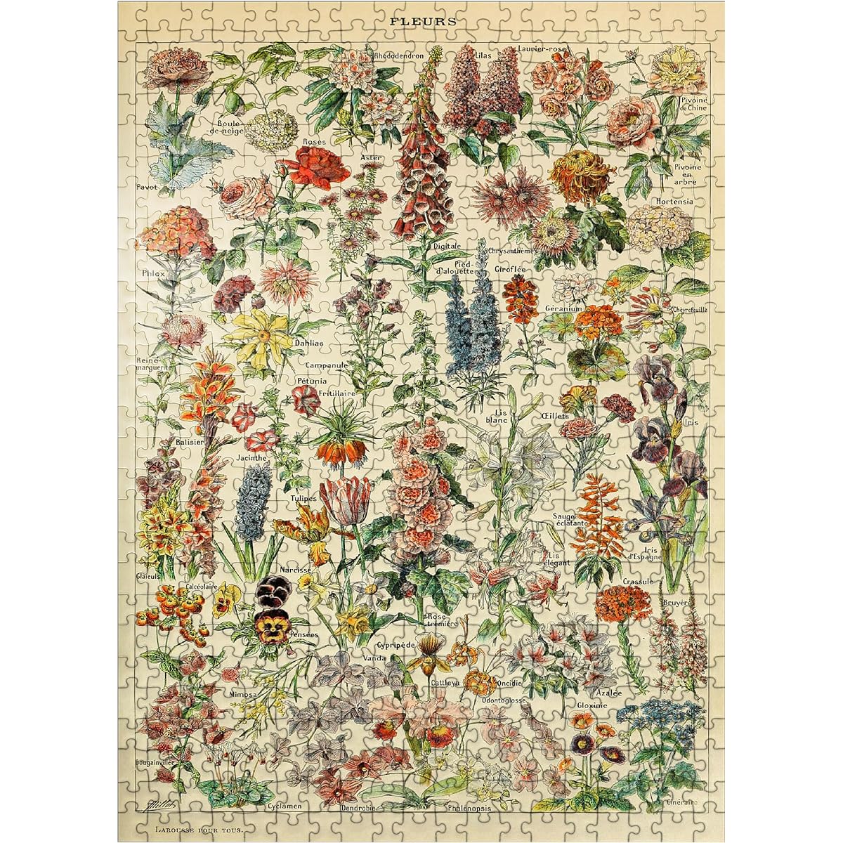 Fleurs - Flowers for All, Vintage Art Poster by Adolphe Millot - Premium 500 Piece Jigsaw Puzzle for Adults