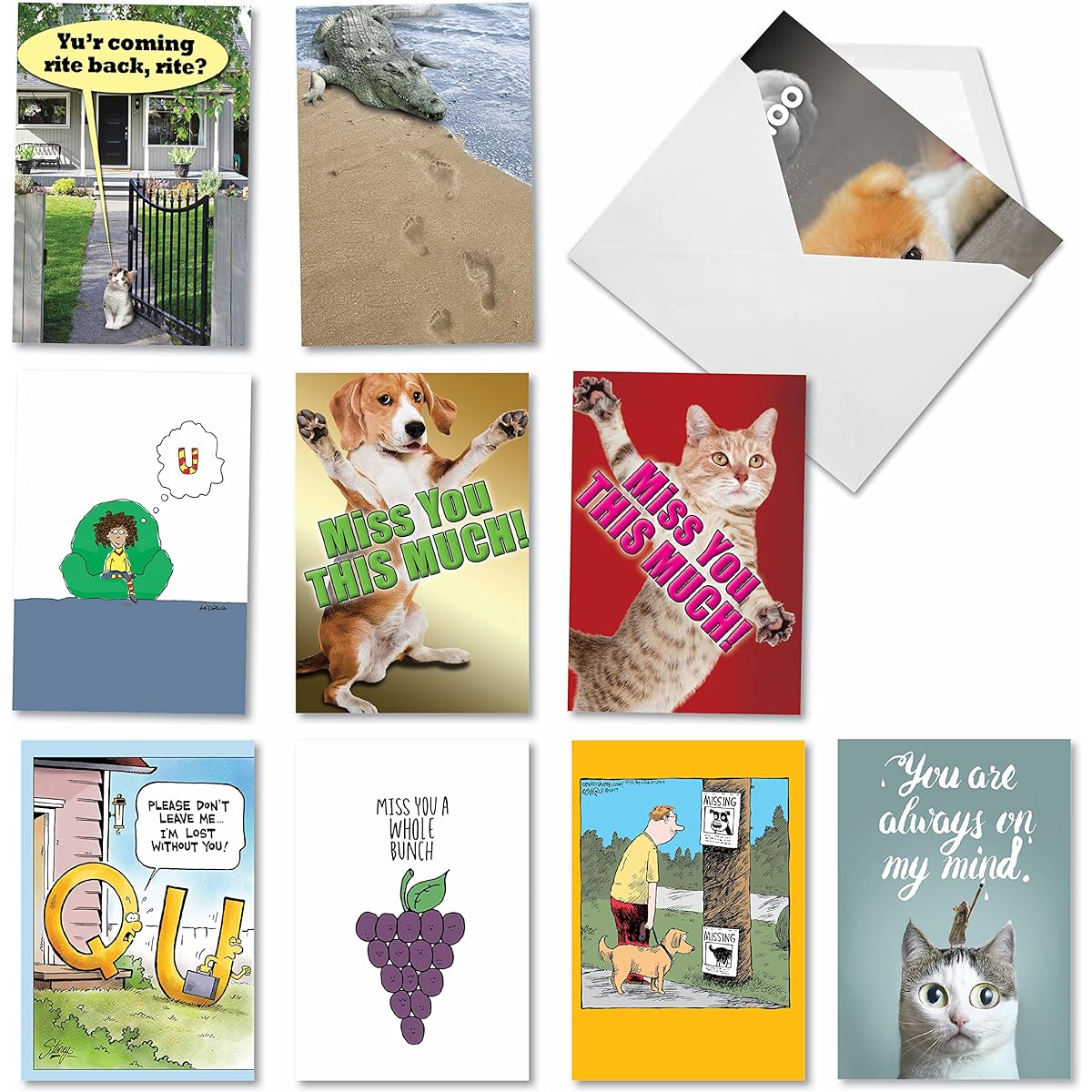 NobleWorks 10 Funny I Miss You Cards Assorted Box Note Cards Stationery Set with Envelopes Friendship Animal Greetings - Miss U Much AC3695MYG-B1x10