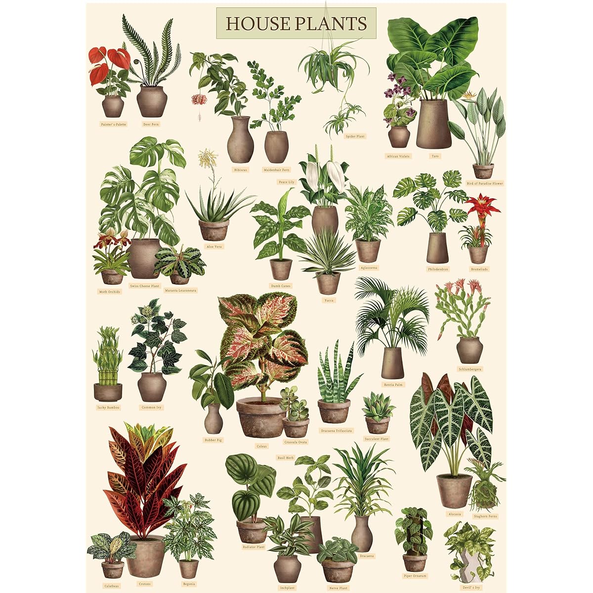 Vintage House Plants Puzzle 1000 Pieces for Adults Botany Succulents Puzzle 39 Common Indoor Plants Jigsaw Puzzle Botanical Gifts (HD)