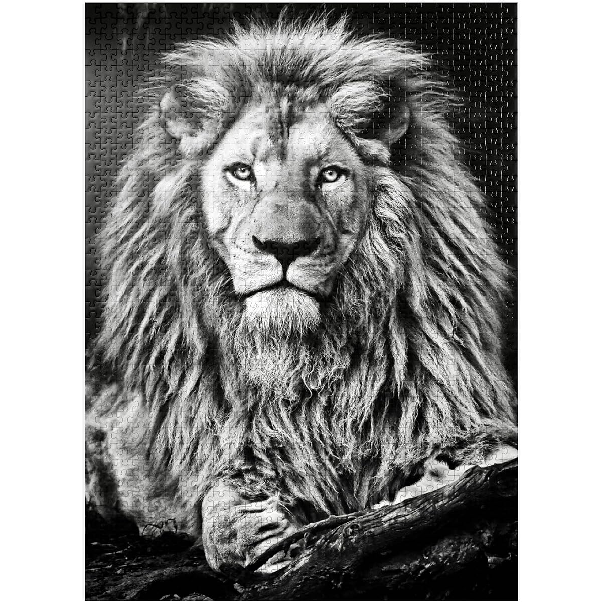 Majestic Lion Black and White Image - Premium 1000 Piece Jigsaw Puzzle for Adults