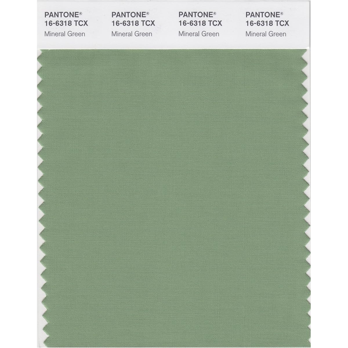 (Island Green) - PANTONE SMART 16-6240X Colour Swatch Card, Island Green