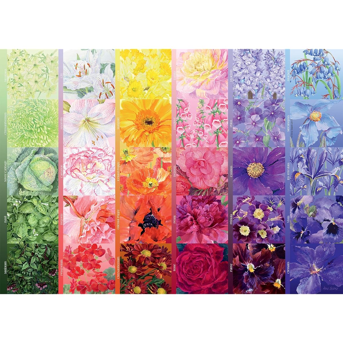 GARDENERS PALETTE NO 1 1000 PC