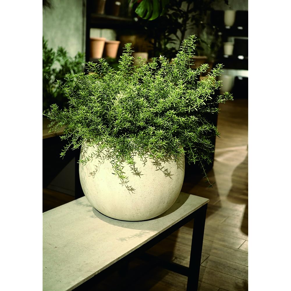 Green Pot Terranias High Balloon Antique White 40cm EB-TH4050AW
