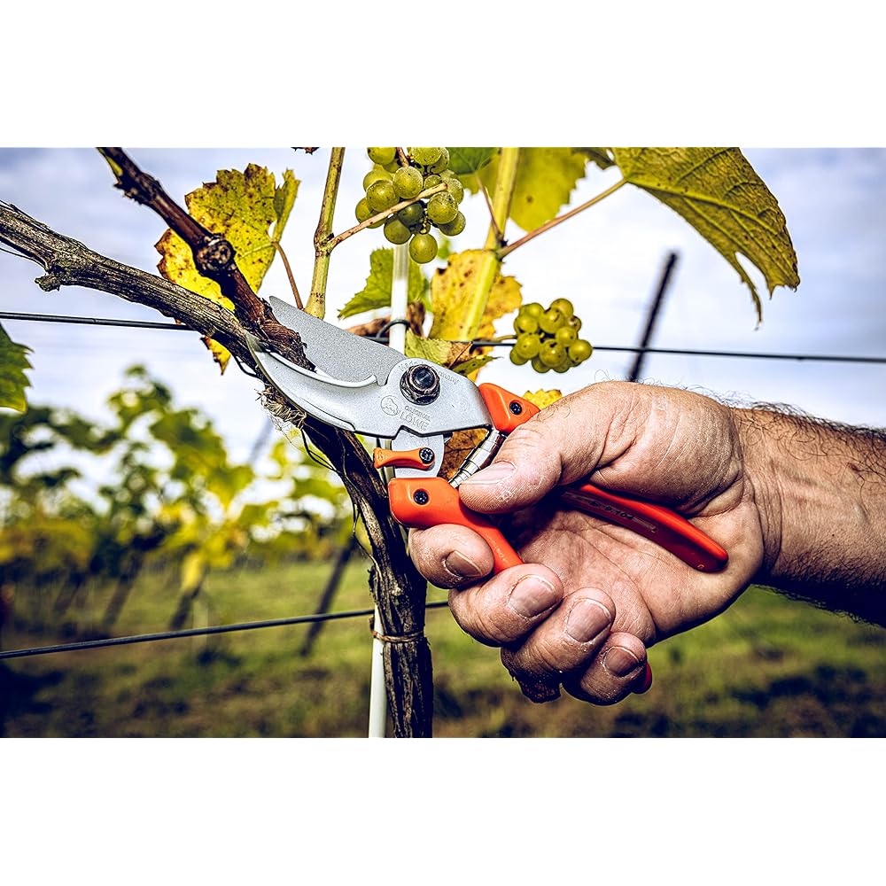 LOWE Lion Pruning Shears Strong Type 9104