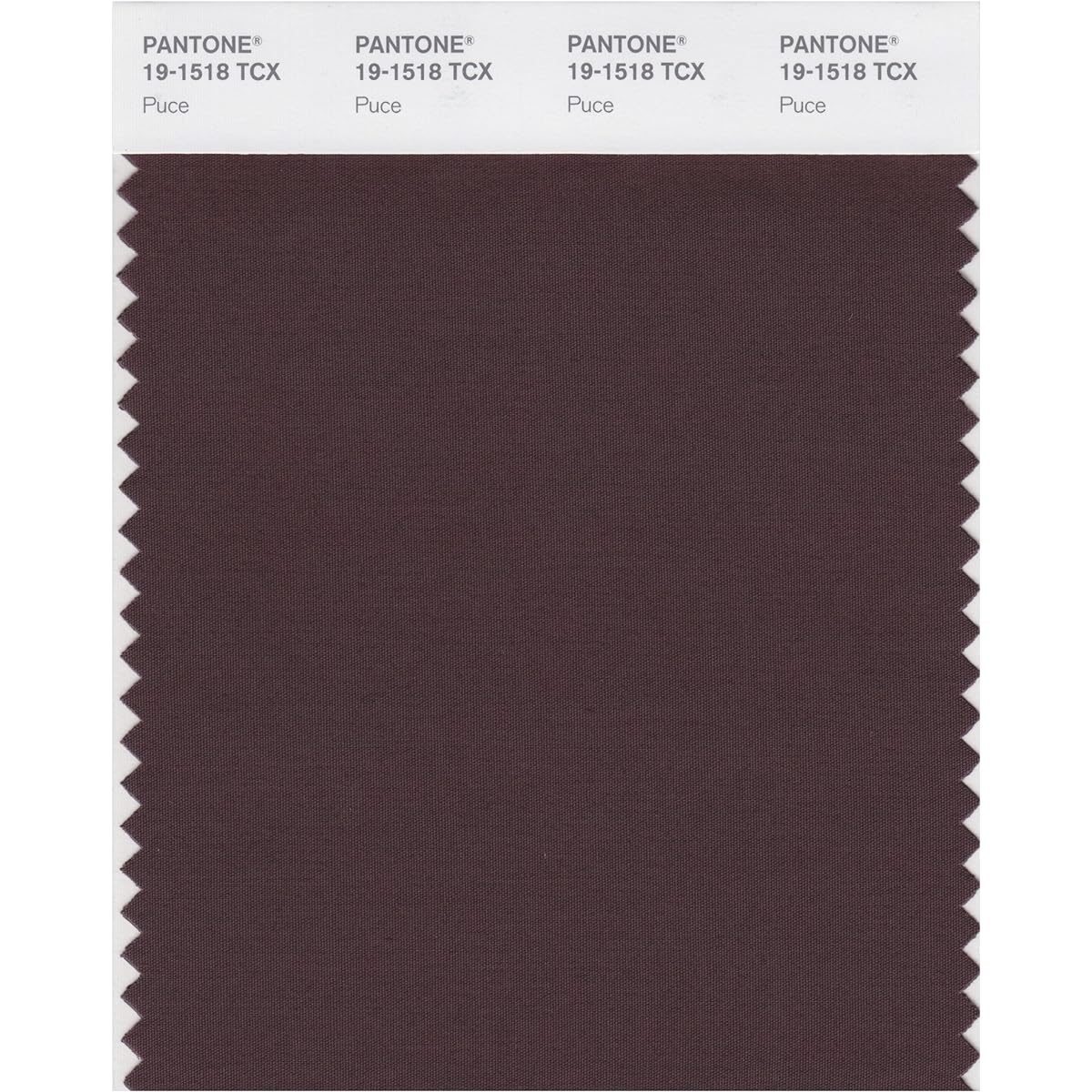 Pantone Color Swatch Smart Card 19-1436X 1