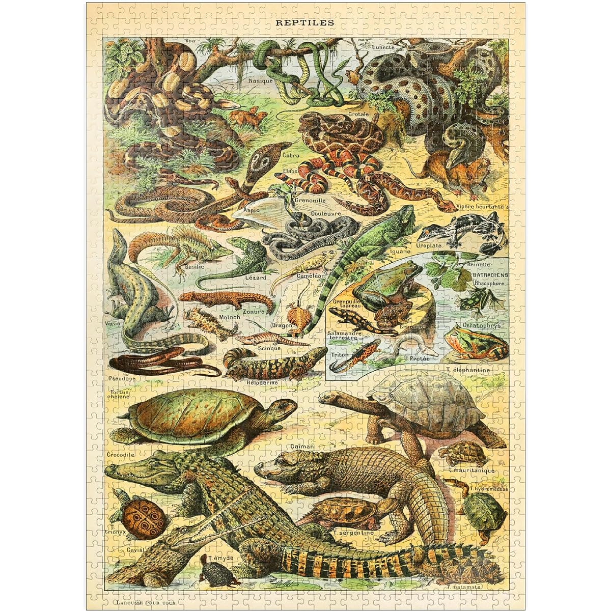 Reptiles for All, Vintage Art Poster by Adolphe Millot Premium 1000 Piece Jigsaw Puzzle for Adults