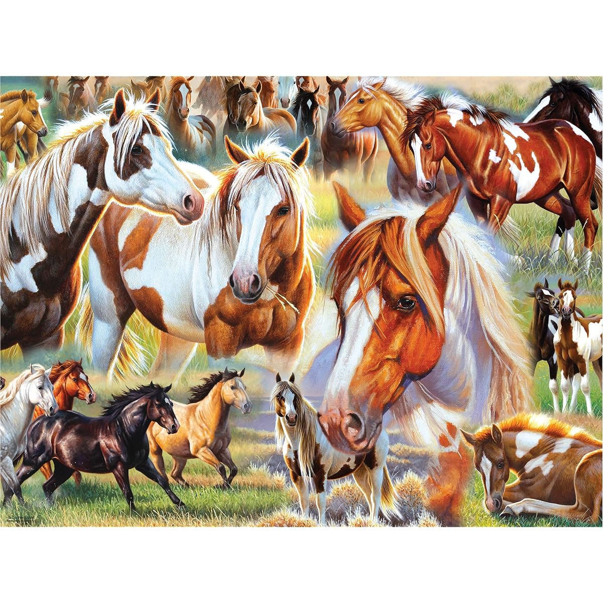 Ceaco - Horses - Horse Collage - 500 Piece Jigsaw Puzzle