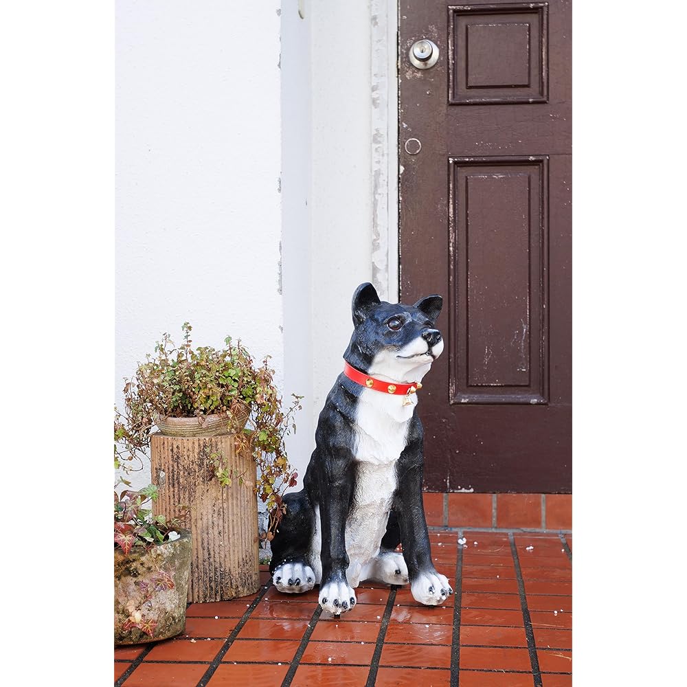 Vita Wanwan Riki Black Width 21x Depth 32x Height 46.5cm Shiba Inu Light/Dark Sensor 2 AA Batteries Sensor Animal Security Gardening Garden Entrance