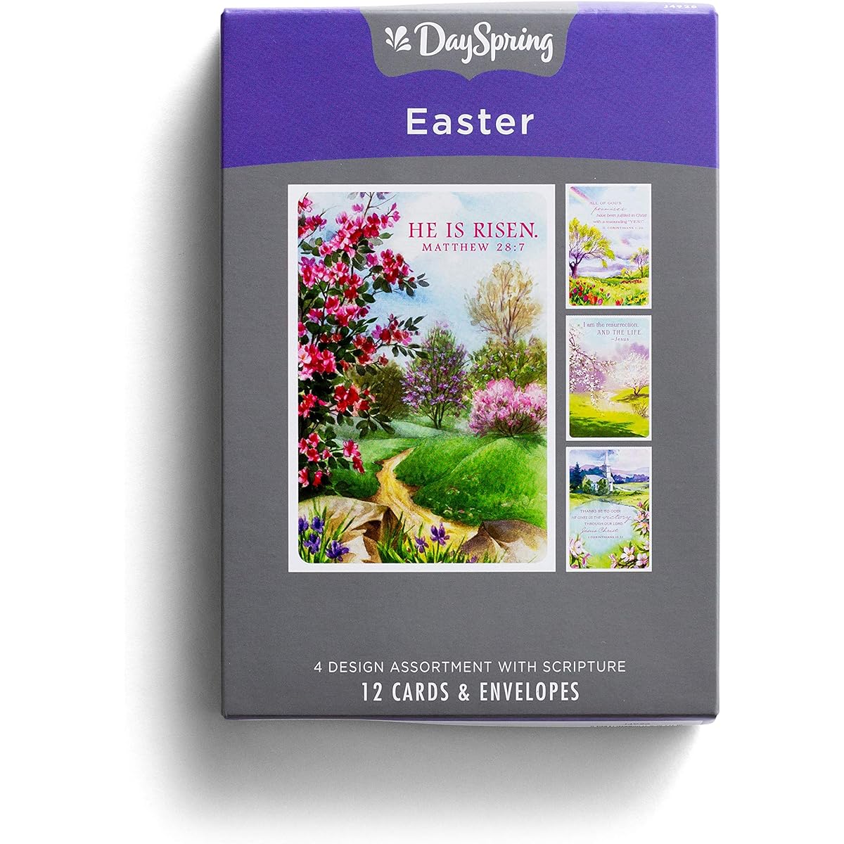Day Spring Cards Cards-Boxed-Easter-He is Risen (12 Cards) (January)