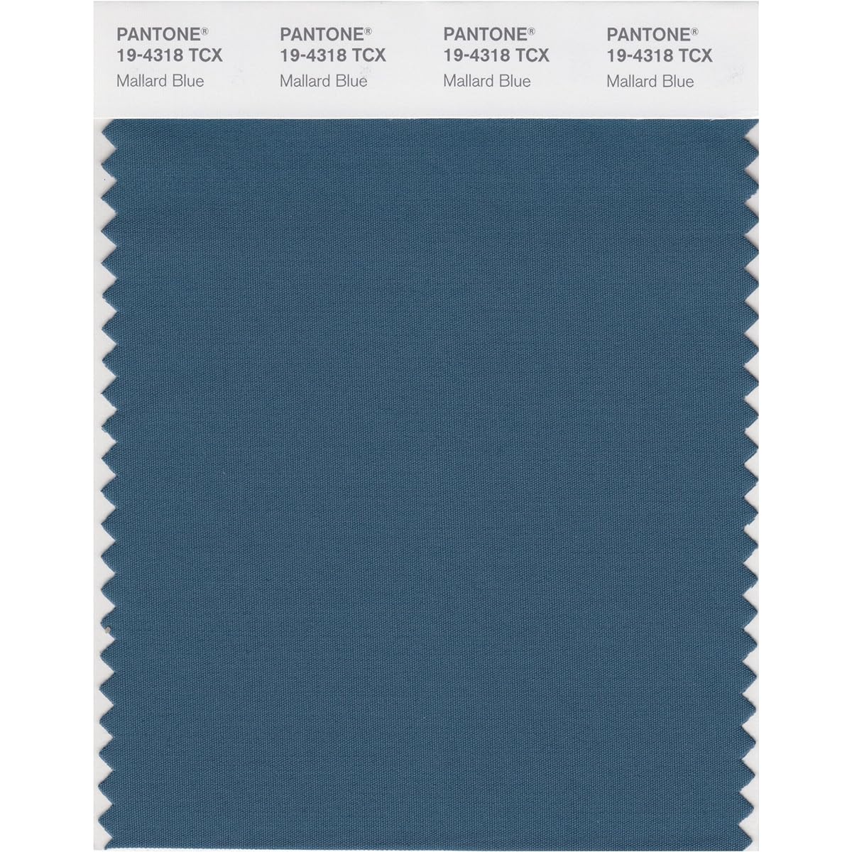 Pantone Color Swatch Smart Card 19-4110X 1