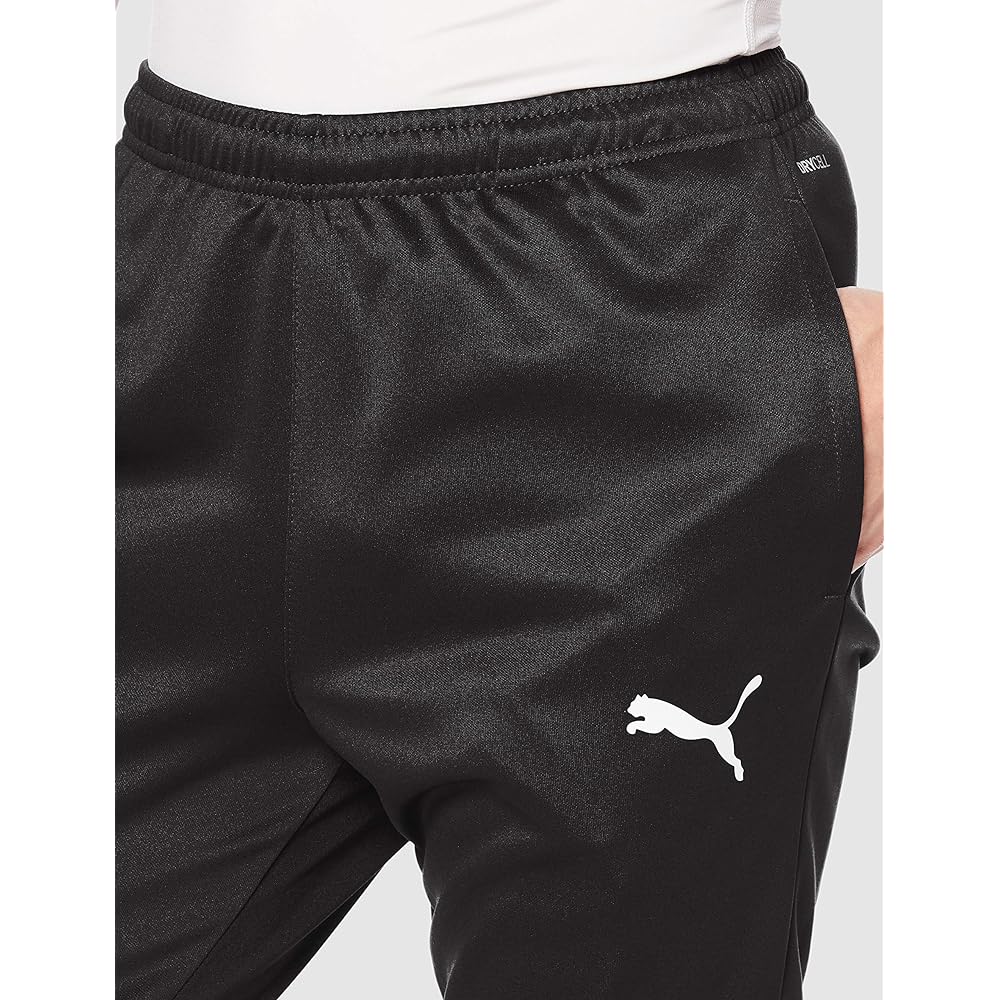 [PUMA] Men's Water Absorbent Quick Drying Jersey Pants TEAMRISE Training Pants