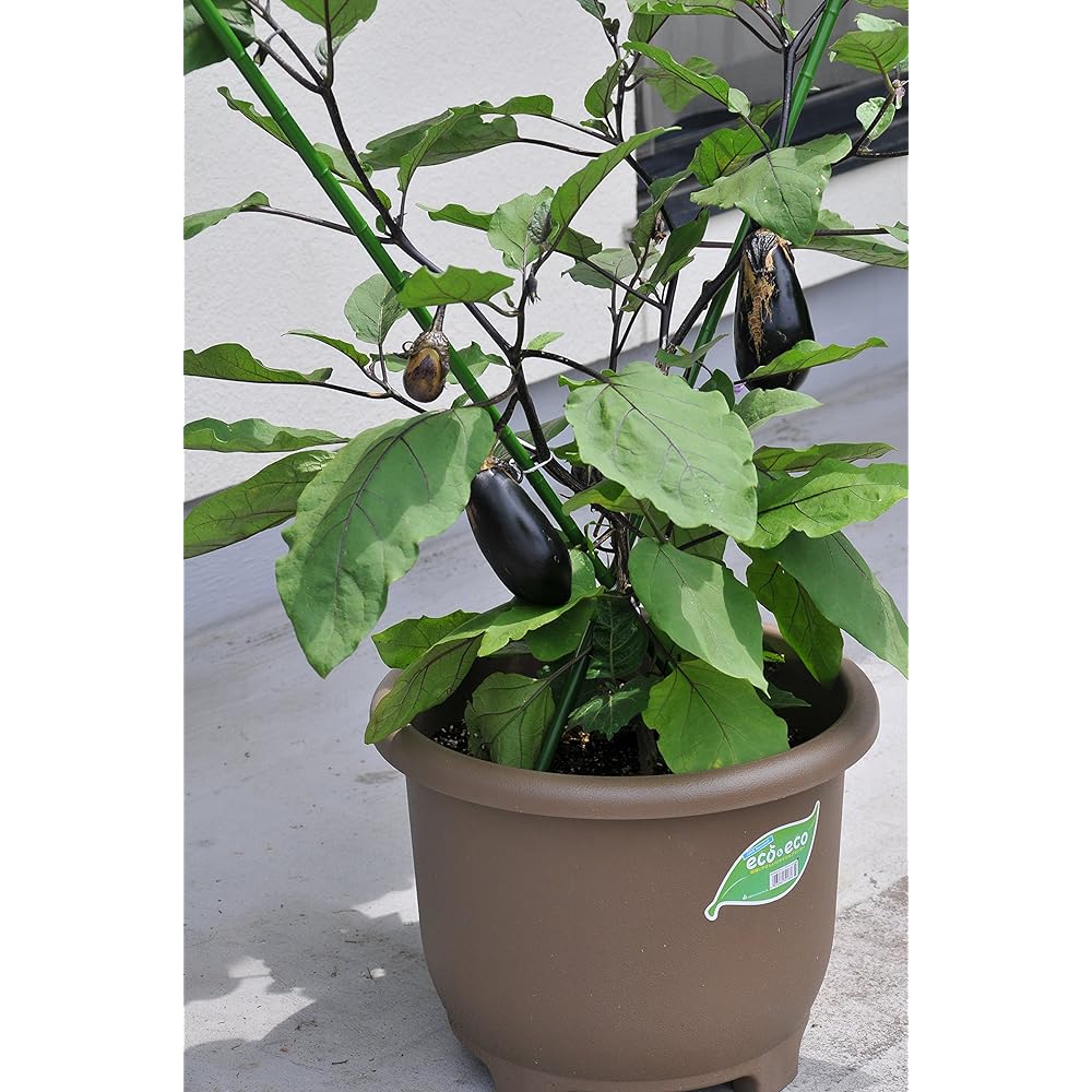 Yamato Plastic eco&eco Win Planter Round 32 Type Φ320 x H245mm Eco Brown Set of 4