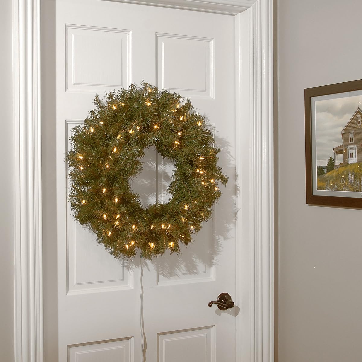 National Tree Company Christmas Decorations 24" Norwood Fir Wreath with 50 Clear Lights-UL