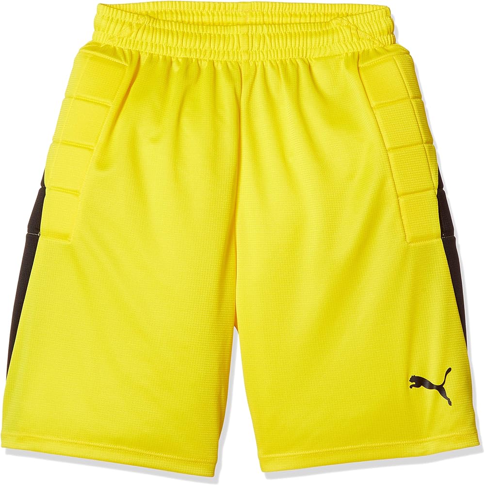 PUMA 729968 Boys Soccer Absorbent Quick Drying Shorts Pad