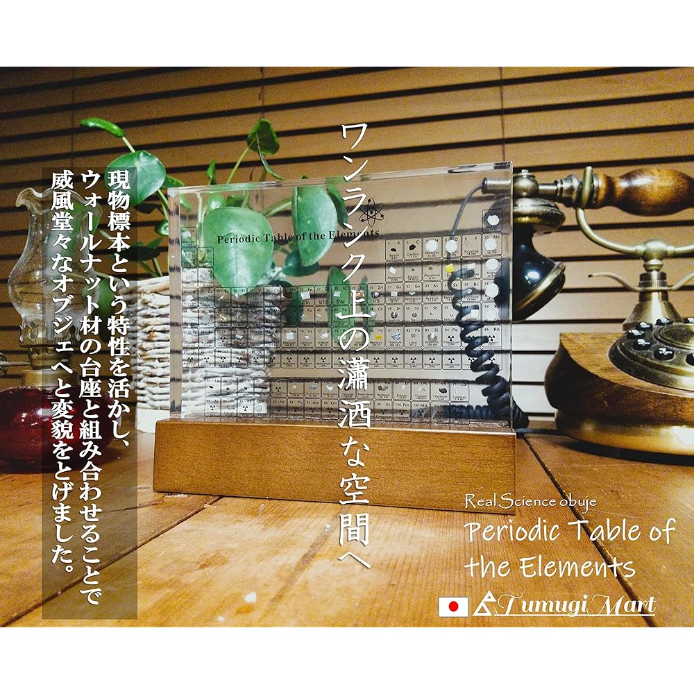 TumugiMart Periodic Table of Elements Walnut Pedestal Science Object Interior