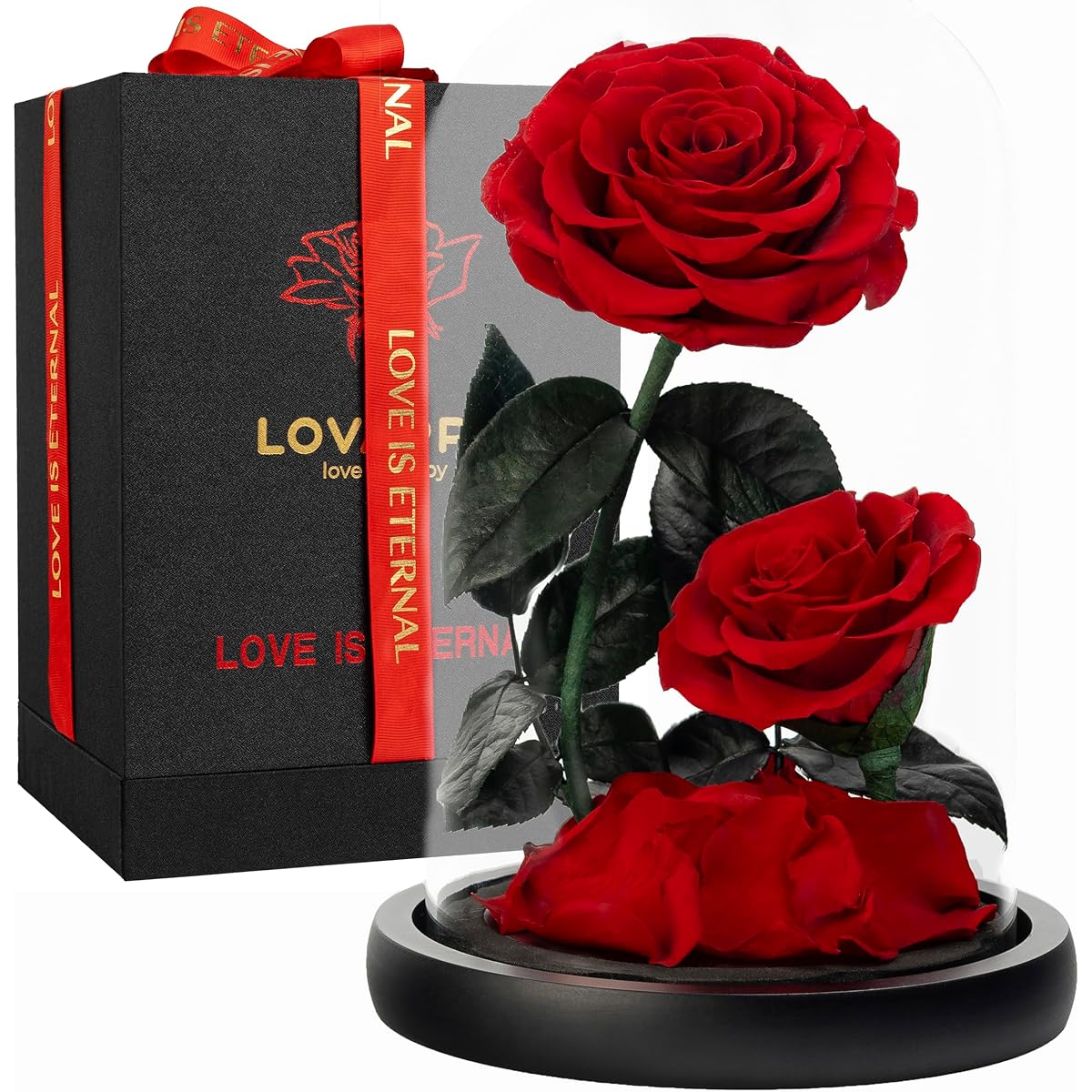 LOVAPPYEternal Glass Dome Flower: Preserved Rose - Perfect Infinity Forever Rose Gift for Her on Valentine's Day, Mother's Day, Birthday, Anniversary, Wedding, Christmas (Red 9 Inch)