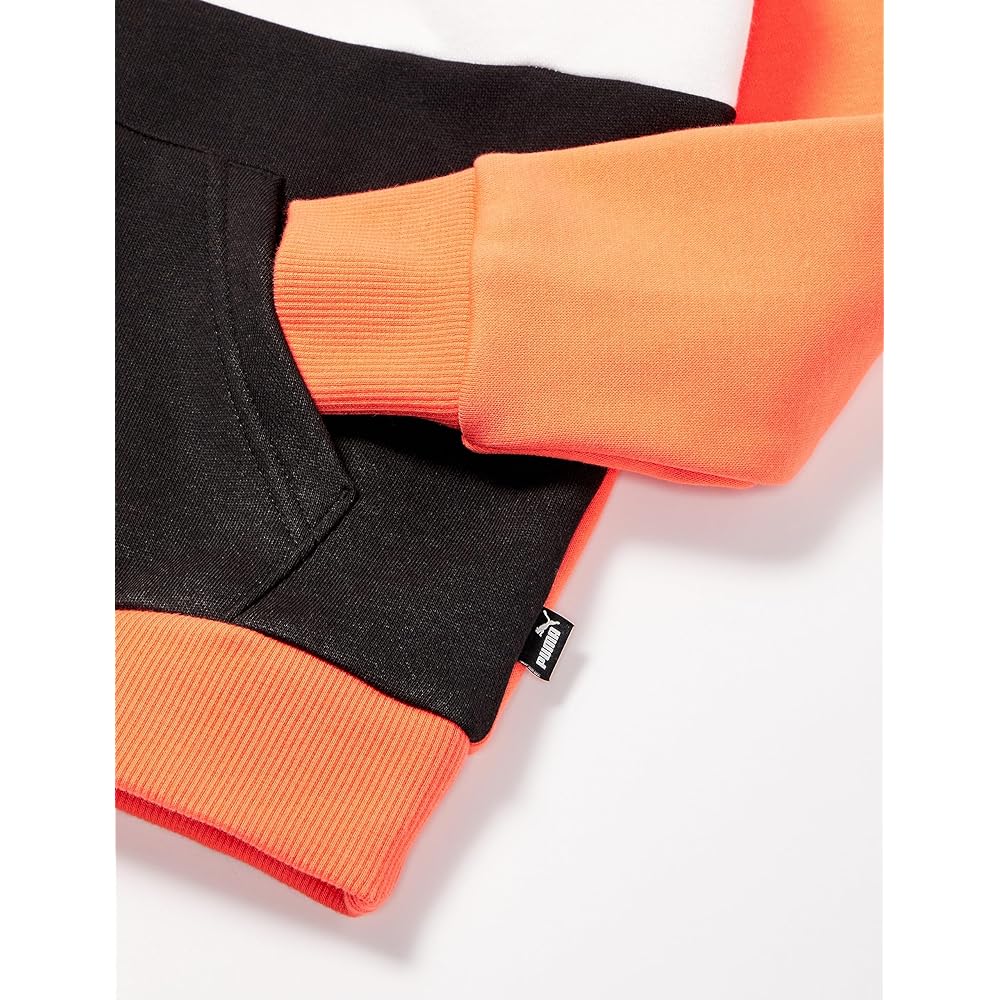 [PUMA] Fleece-lined Hoodie Sweatshirt ESS+ Color Block Hoodie Sweatshirt FL 672635 Boys