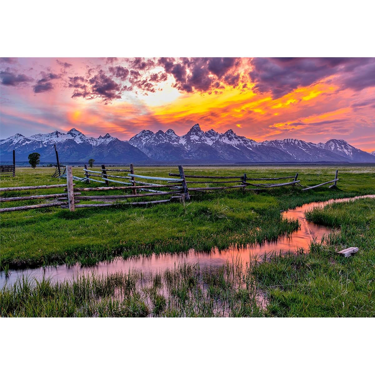 The Game Club - Grand Teton - 1000 Piece Jigsaw Puzzle - A Bright and Unique Puzzle of Grand Teton National Park - A Fun Challenge for Adults, Teens and Kids