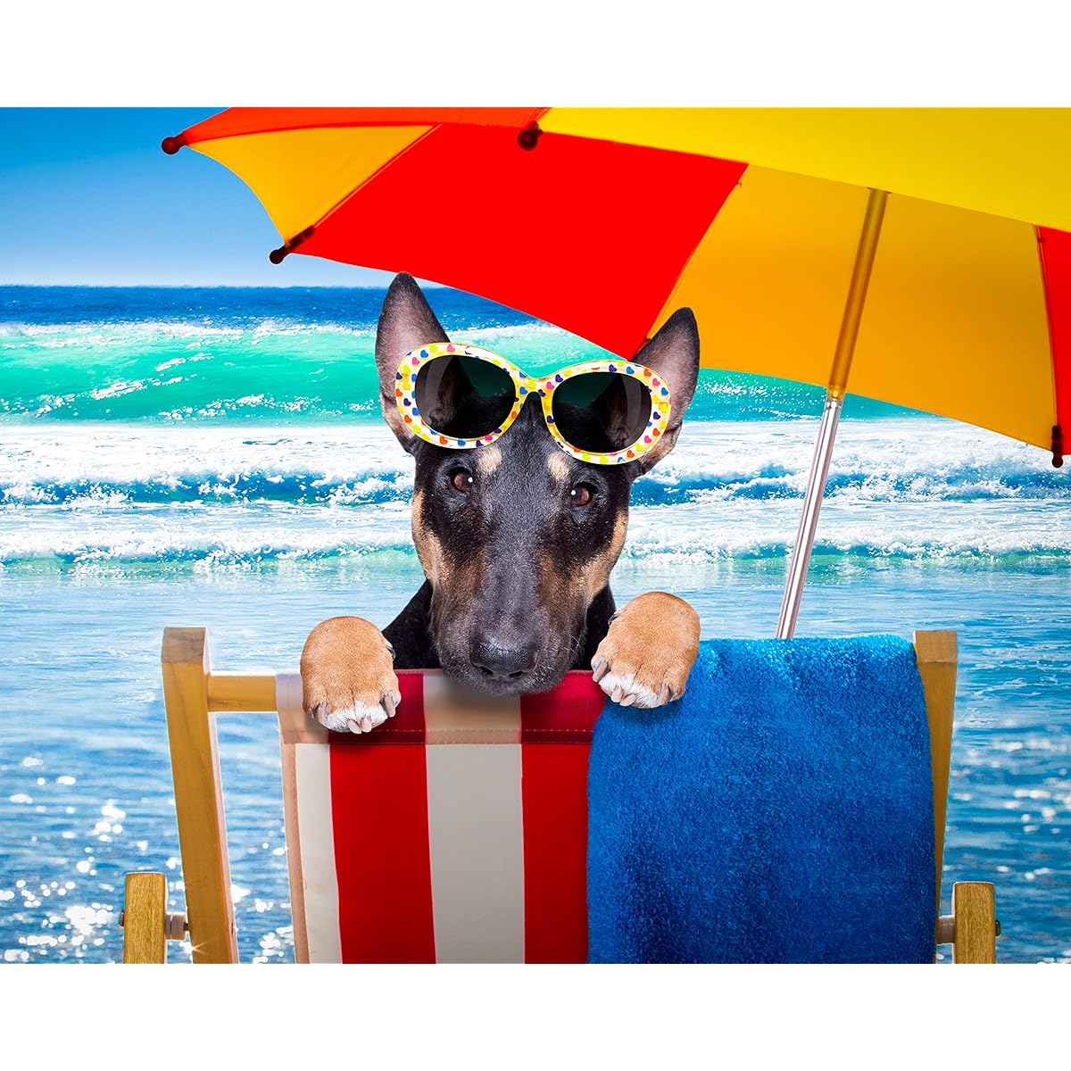 CVPuzzles Jigsaw Puzzle Bull Terrier on the Beach 504 Piece 16" x 20"
