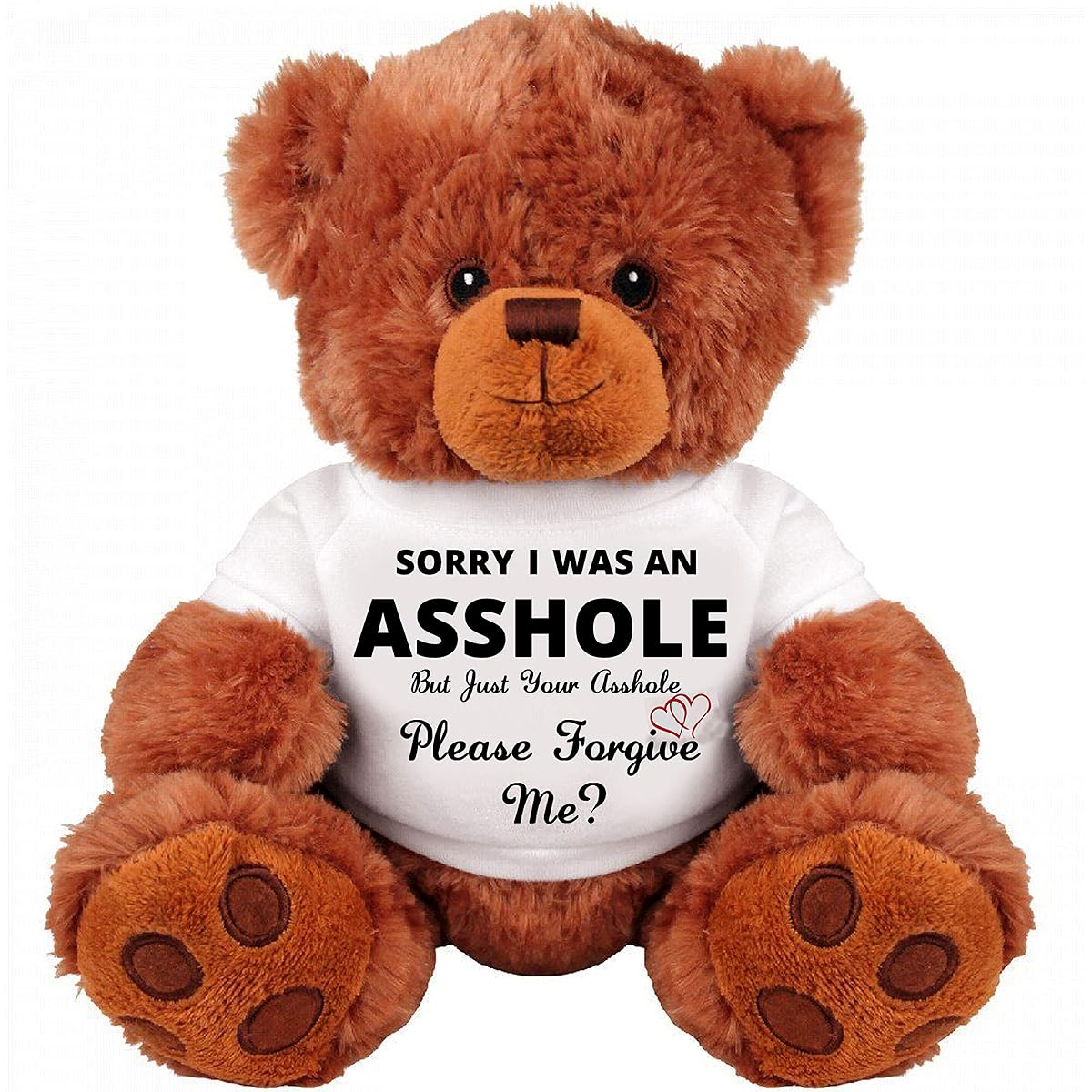 SinMan Sorry Forgive Me? :Thank You Gift :Cute Cuddly Romantic Funny Teddy Bear Couple Gift :Medium Soft Teddy Bear Plush Toy