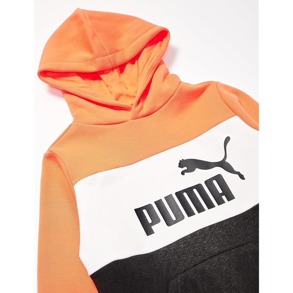 [PUMA] Fleece-lined Hoodie Sweatshirt ESS+ Color Block Hoodie Sweatshirt FL 672635 Boys